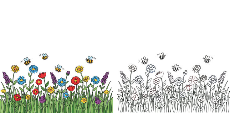 Flower Garden with Bumble Bees Illustration Set Including Colored Version and Black and White Line Art Coloring Page for Kids Education and Creative Activities