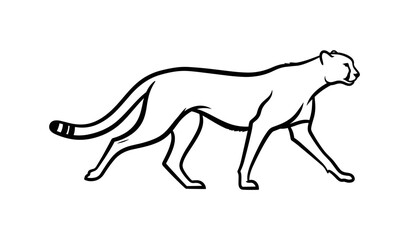Fototapeta premium Cheetah Silhouette Walking