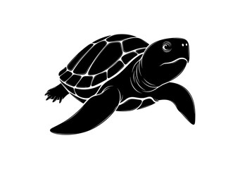Fototapeta premium Sea Turtle Silhouette