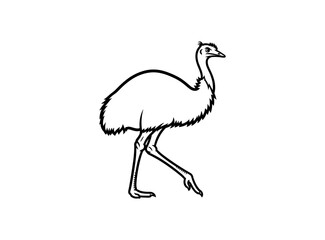 Obraz premium Emu Bird Line Art
