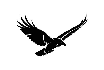 Fototapeta premium Silhouette of a Flying Raven