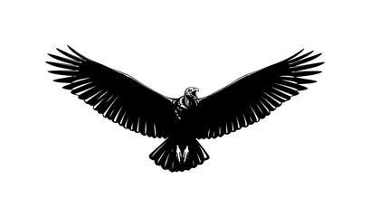 Fototapeta premium Condor In Flight Silhouette