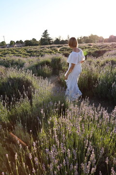 girl in lavender fields 