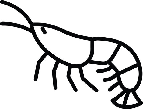 amphipod laterally compressed black and white vector illustration on transparent background