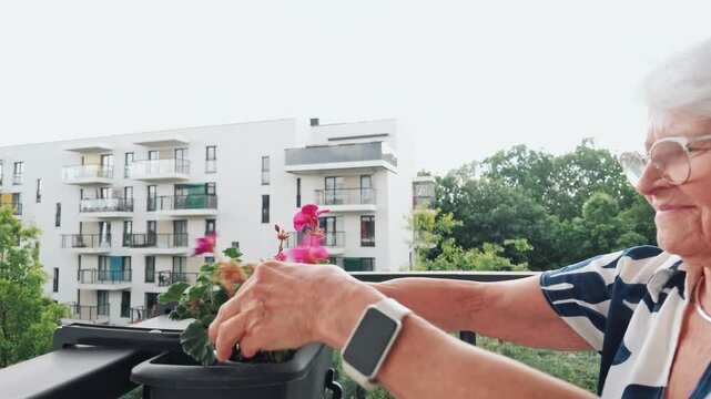Senior Woman Taking Care of Flowers on Balcony 