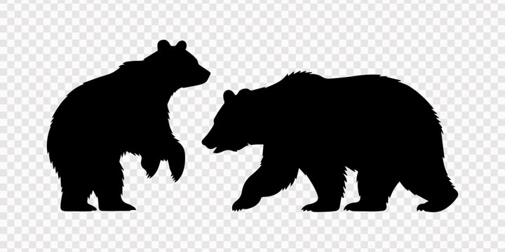 bear black silhouette vector set, transparent background, Set of black bear silhouettes for wildlife design, grizzly and brown bear icons in various poses like walking, standing and sitting for nature