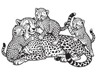 Cheetah family, cheetahs vector, spotted cats, wildlife illustrations, animal pack © হরি চাঁদের চাঁদ