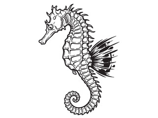 Fototapeta premium Seahorse, sea horse, marine animal, black and white, vector illustration, ocean creature