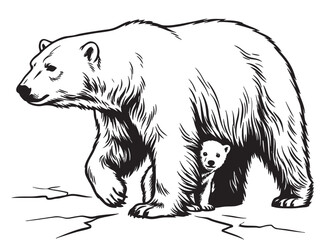 Mother polar bear, cub, wildlife illustration, animal icons, black and white vector graphics © হরি চাঁদের চাঁদ