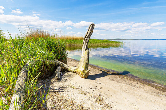 Landschaft am Achterwasser bei Warthe auf der Insel Usedom
