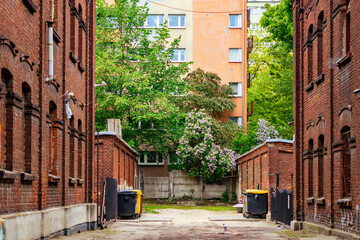 City courtyard enclosed by historic red brick buildings, orange apartment block visible in background, green trees, blooming purple lilac bush, concrete fence and trash bins, daytime architectural sho © Adam