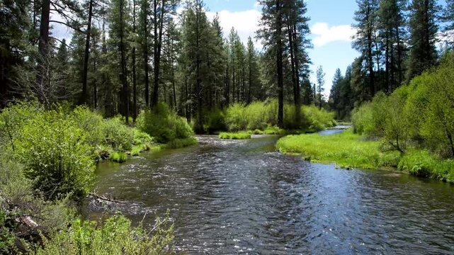 Confluence of Lake Creek and the upper Metolius River near Camp Sherman in central Oregon