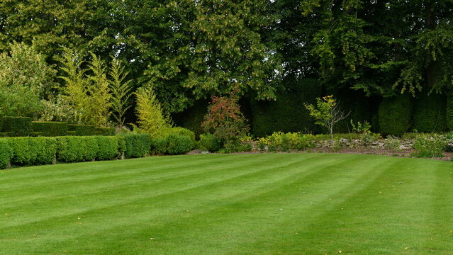 A perfectly mown green grass lawn displaying prominent mower stripes stretches across a lush English country garden. The beautifully manicured backyard turf is bordered by neatly trimmed low box hedge