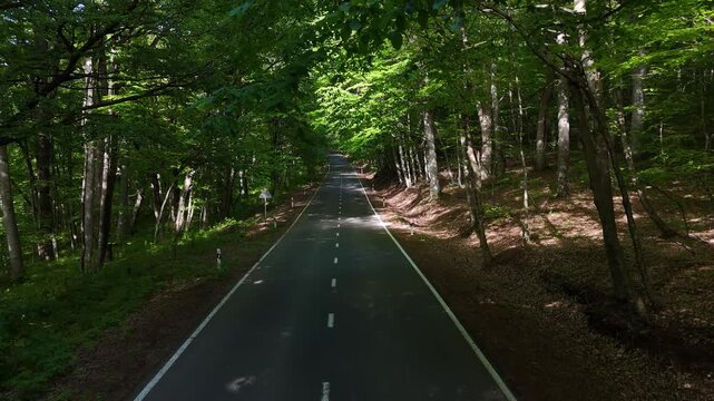 Cinematic drone footage of empty asphalt road through dense green forest, scenic summer woodland landscape in 4K.