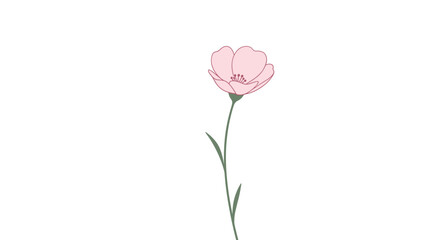Obraz premium Delicate hand-drawn illustration of single light pink flower with thin green stem and two leaves, isolated on a white background for minimalist design.