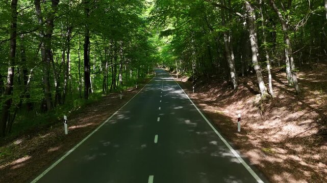 Cinematic drone footage of empty asphalt road through dense green forest, scenic summer woodland landscape in 4K.