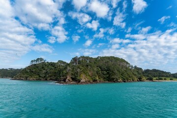 Fototapeta premium Bay of Islands Turquoise Water and Native Bush Island