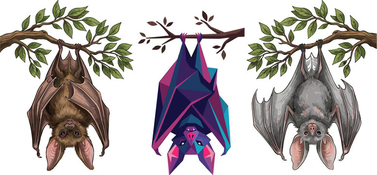 Hanging bats vector collection with cute cartoon low poly and realistic styles