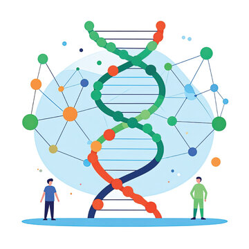DNA double helix structure model.