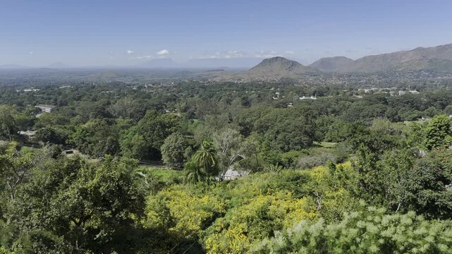 Drone flies east over field of yellow flowers on side of mountain, toward the open plain of the city on a sunny day in Zomba, Malawi