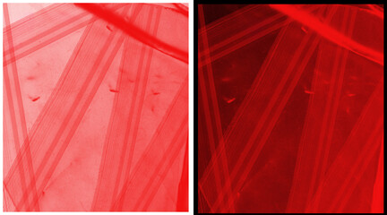 Abstract red fabric texture background, translucent layered textile ribbons, vibrant crimson mesh material with soft lighting and geometric patterns © Ali