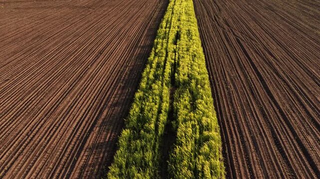 Agricultural Fields with Arable Land Drone Perspective Video, Farming and Soil Agriculture Concept, Aerial Top Down View of Brown Earth Texture Rural Landscape Footage