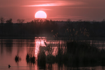 Dolina Baryczy © Stanisaw