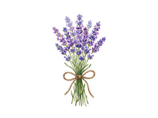 Obraz premium Lavender bouquet with twine bow isolated on transparent background
