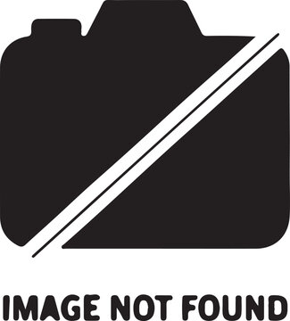 Bold image not found icon indicating missing content or broken link on website or application
