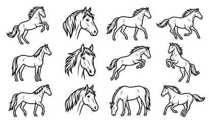 Hand Drawn Horse Sketch Collection with Various Horse Poses and Farm Animal Illustration Set © MstNadiya