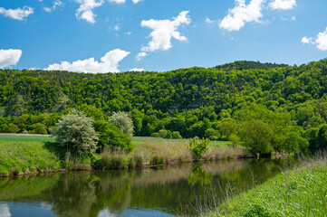Fototapeta premium landscape in the river Werra valley near the beautiful town Creuzburg in Thuringia in Germany