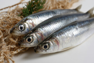Obraz premium Fresh Silver Fish Trio
