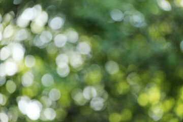 Fototapeta premium Blurred view of green and light blue background. Bokeh effect