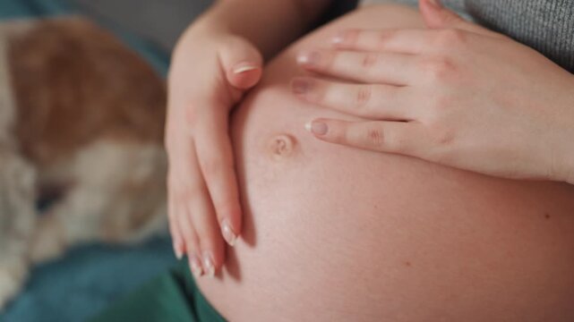 Closeup pregnant belly woman home, expectant mother gently caressing bump with polished nails, blurred dog in background, soft blanket and warm light, tender nurturing atmosphere highlighting skin