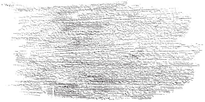 Abstract grunge background. Black and white texture vector.