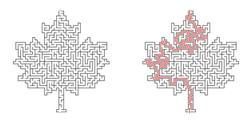 Obraz premium Maple leaf maze puzzle with solution and without