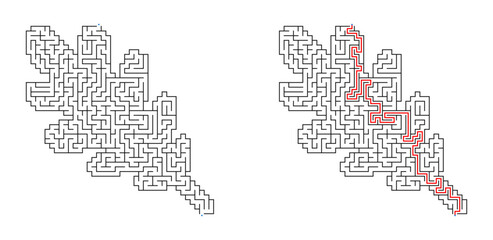 Obraz premium Oak leaf maze puzzle with solution and without