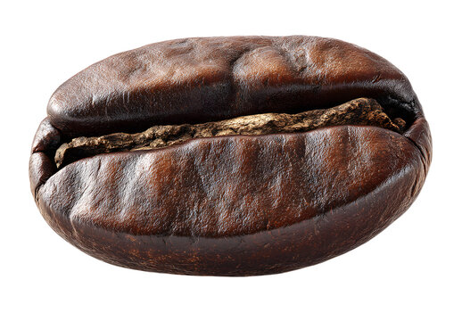 Coffee bean close up