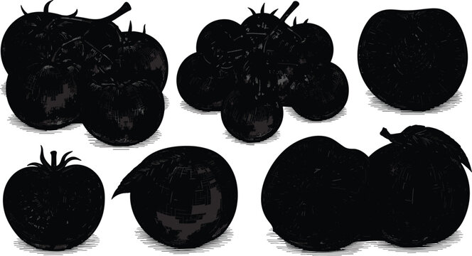 Vintage Woodcut Silhouette Vector Icon Set of Fresh Tomatoes and Apples with Engraved Details for Organic Farming Food Packaging Designs