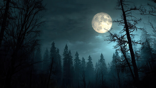 full moon in the forest