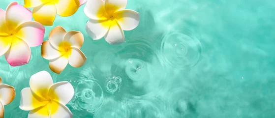Fototapeten Plumeria Beautiful plumeria flowers in water on turquoise background  © Pixel-Shot