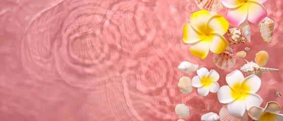 Fototapeten Plumeria Beautiful plumeria flowers and seashells in water on pink background  © Pixel-Shot
