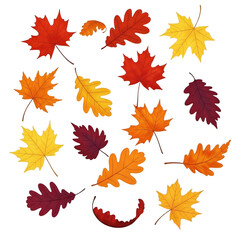 Fototapeta premium Colorful autumn leaves scattered across a plain surface