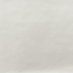 Obraz premium Textured white paper background with copy space