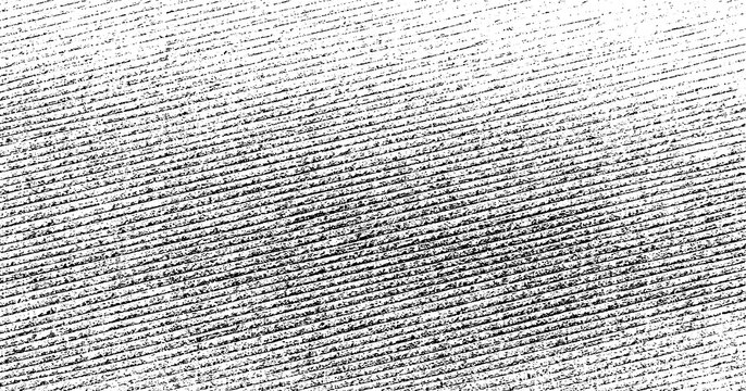 Vector fabric texture. Distressed texture of weaving fabric. Grunge background. Abstract halftone vector illustration. Overlay to create interesting effect and depth. Black isolated on white. EPS10.
