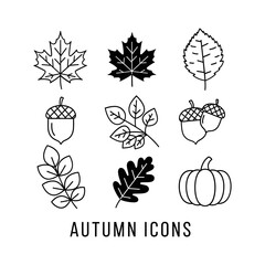 Autumn icons pumpkin acorn leaf set vector © AnilChandra