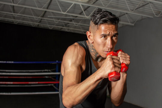 young Hispanic boxer warming up with light dumbbells in fighting stance