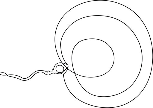 Continuous line drawing of a sperm cell fertilizing an egg