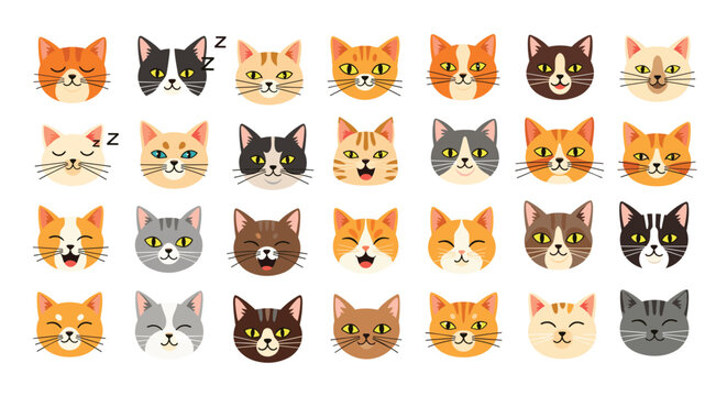 Large collection of diverse facial expressions of various cat breeds showing emotions like happy, sleepy, angry, and surprised in a cartoon style.