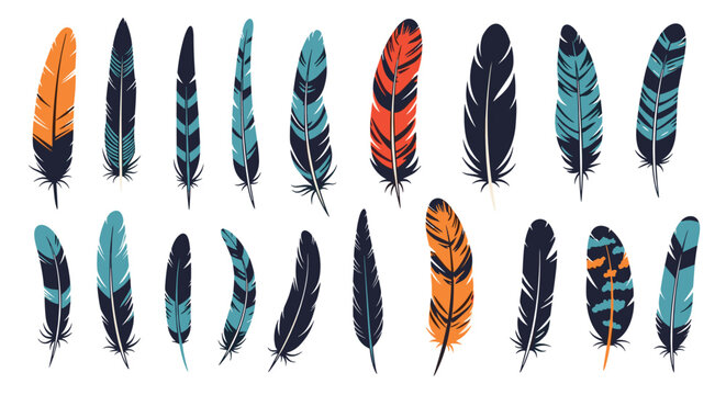 Diverse collection of vibrant colorful bird feathers with intricate patterns for decorative artistic and bohemian design projects.